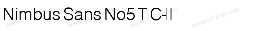 Nimbus Sans No5 T C字体转换